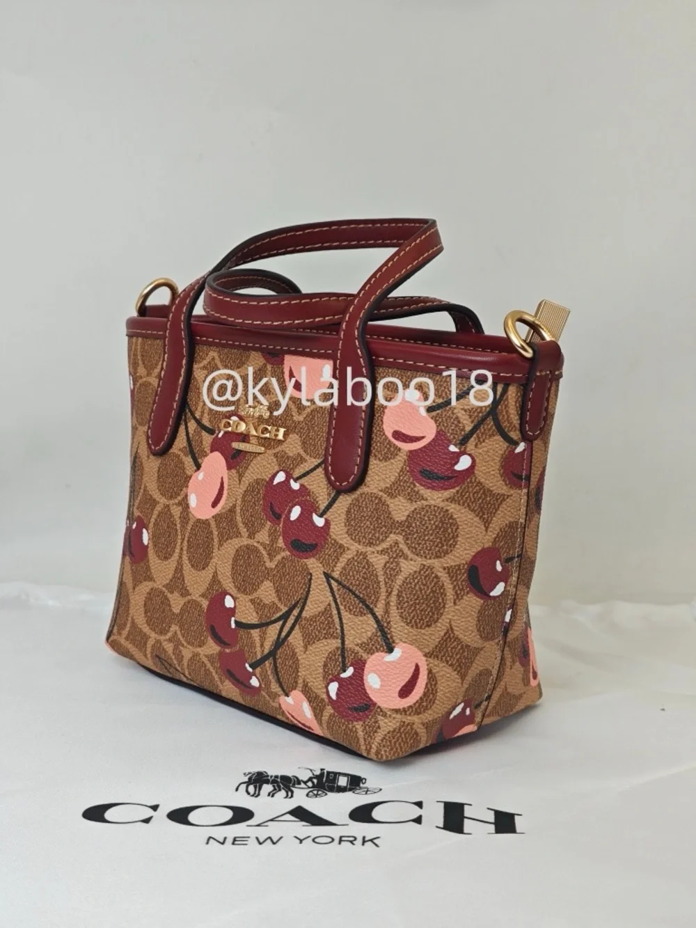 Coach Cherry-Print Small Satchel - Brown/Maroon/Pink